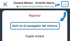 Instrucciones para abrir pagina en navegador